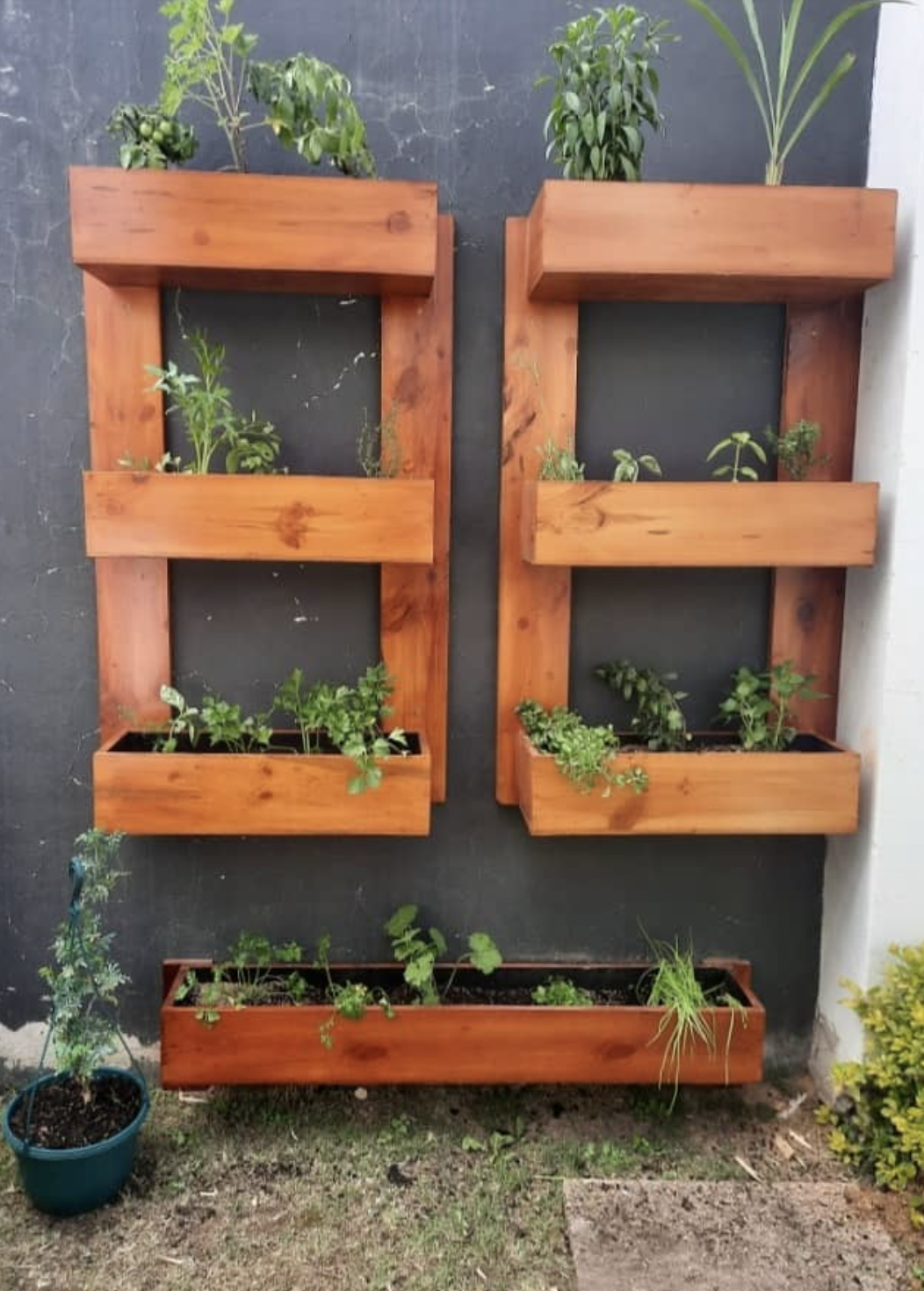 Jardineras de madera para hierbas aromáticas montadas en pared exterior