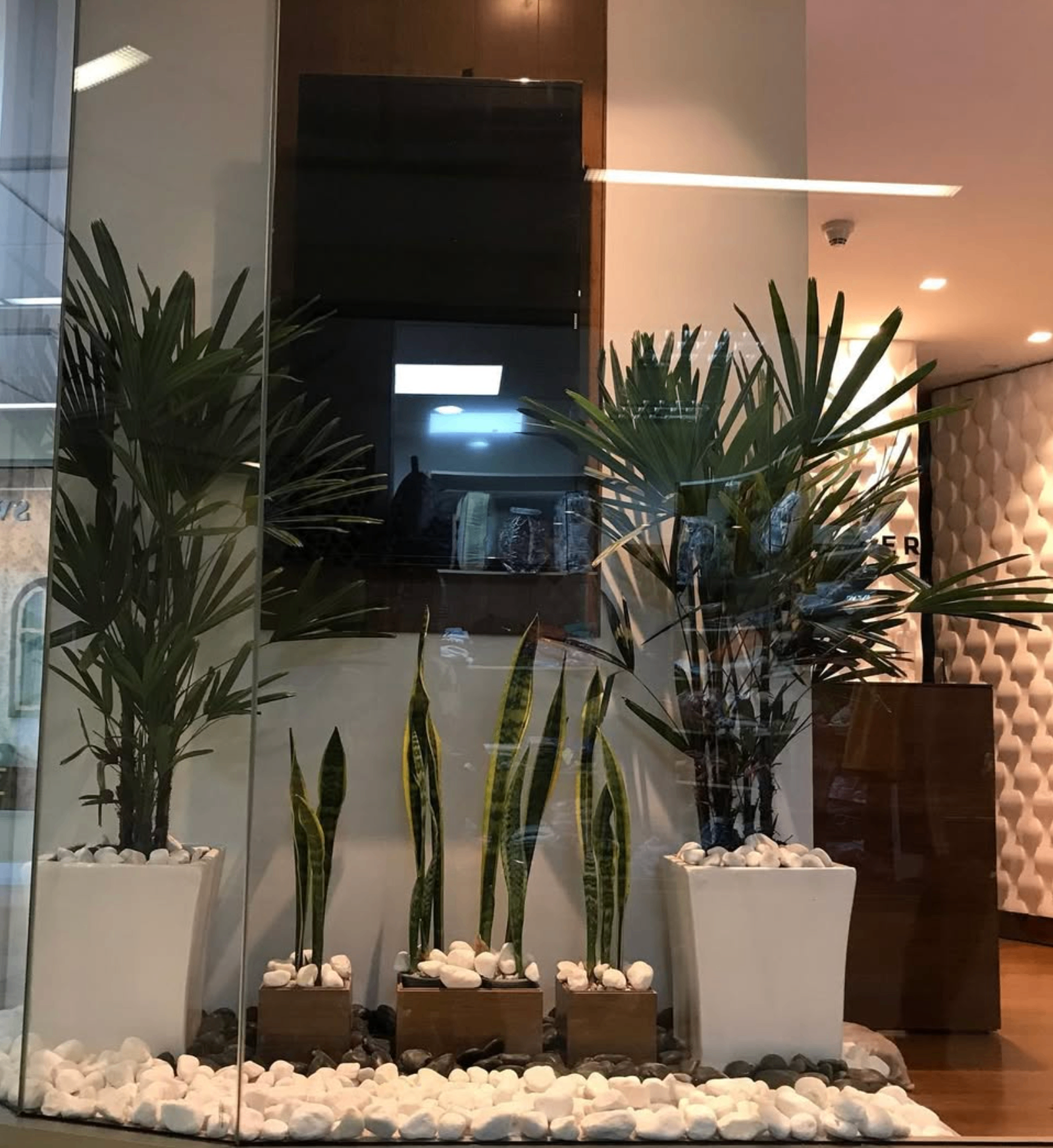 Plantas decorativas en lobby interior con piedras blancas y macetas rectangulares